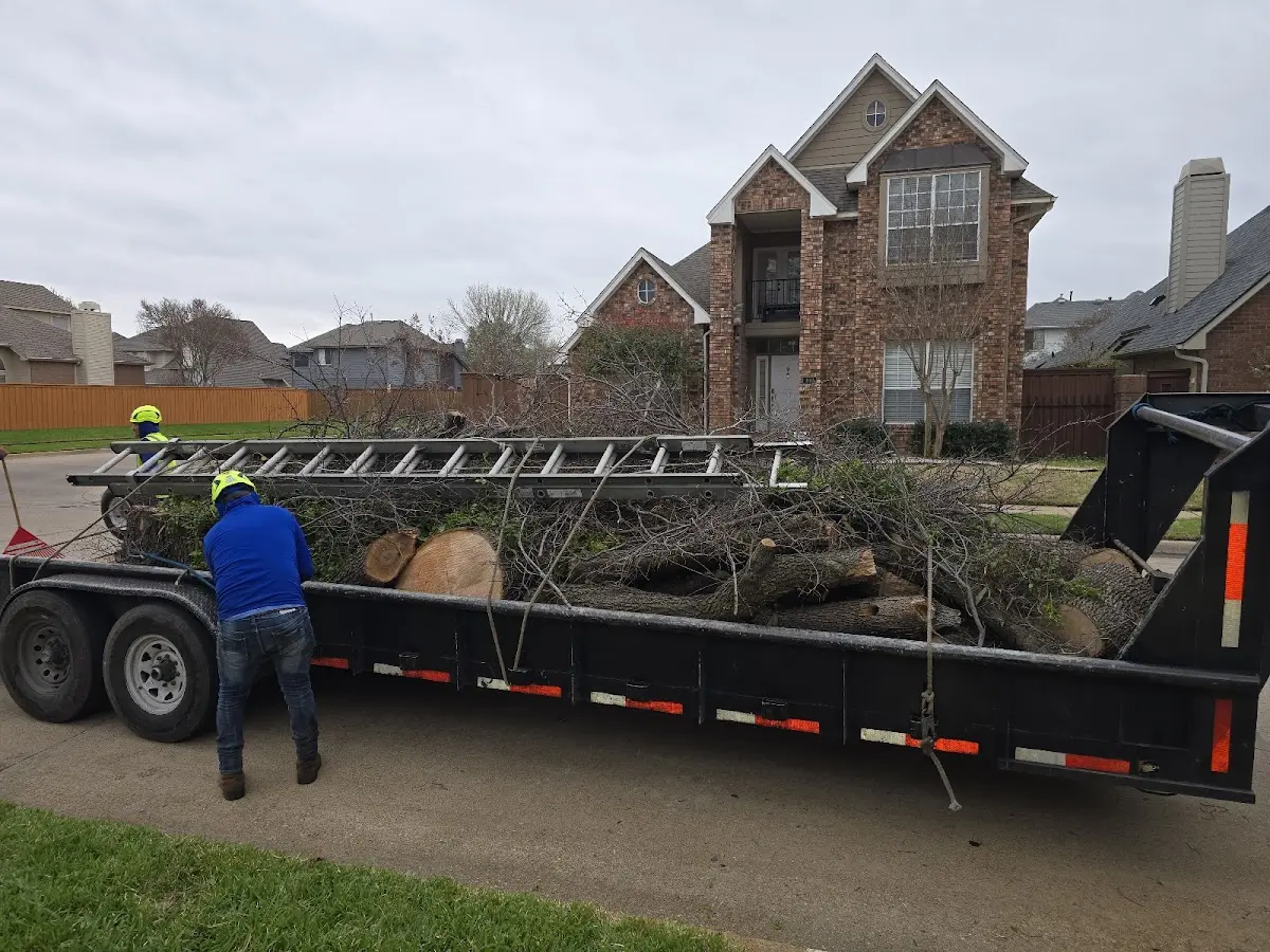 Expert Tree Fertilization with proper safety equipment in Kaukauna
